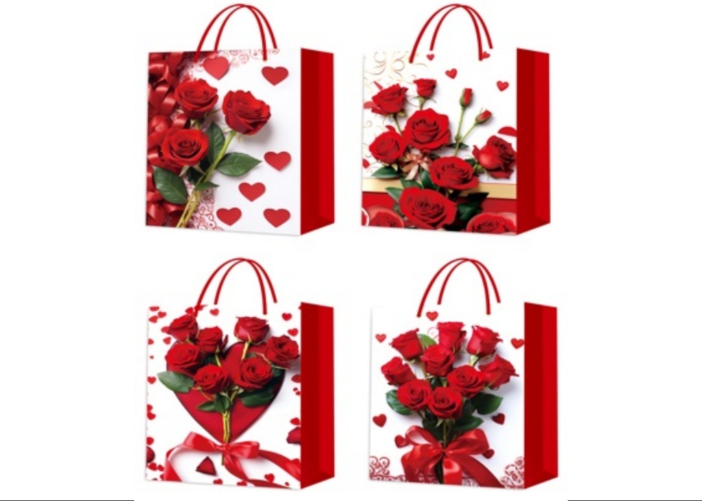 BOLSA MADRE R 12PZ 24X18X8.5CM CXB 480UD.