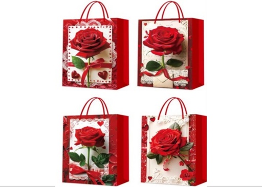 [CA-0019-S] BOLSA MADRE R 12PZ 24X18X8.5CM CXB-480UD.