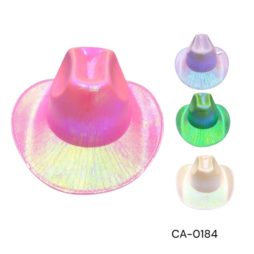 [CA-0184] SOMBRERO VAQUERO TORNASOL CXB-240UD.